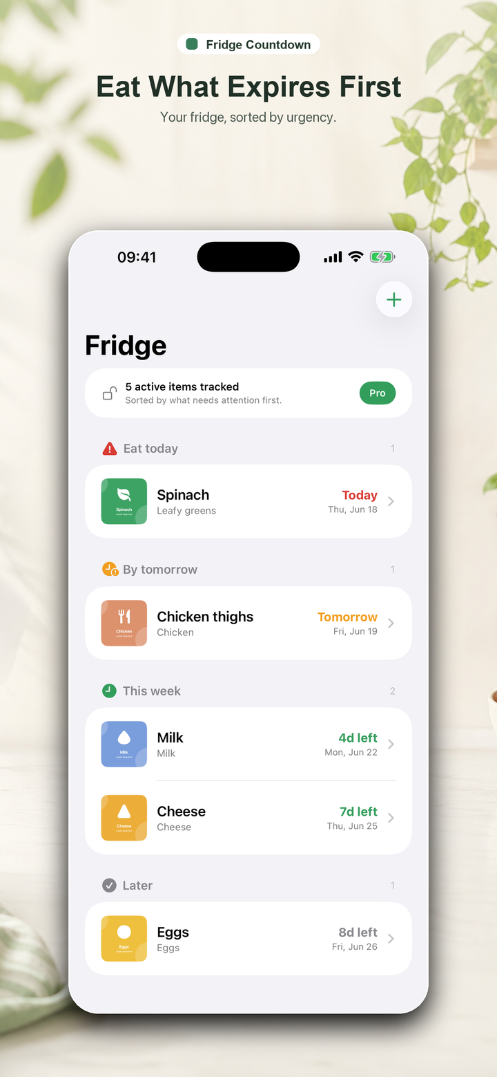 Fridge Countdown urgency list